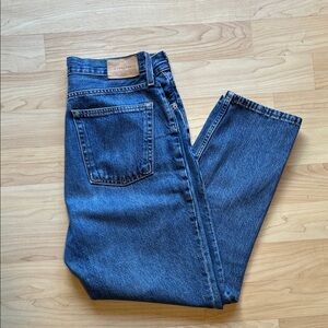 Everlane The 90's Cheeky Jeans 28 Ankle Blue Button